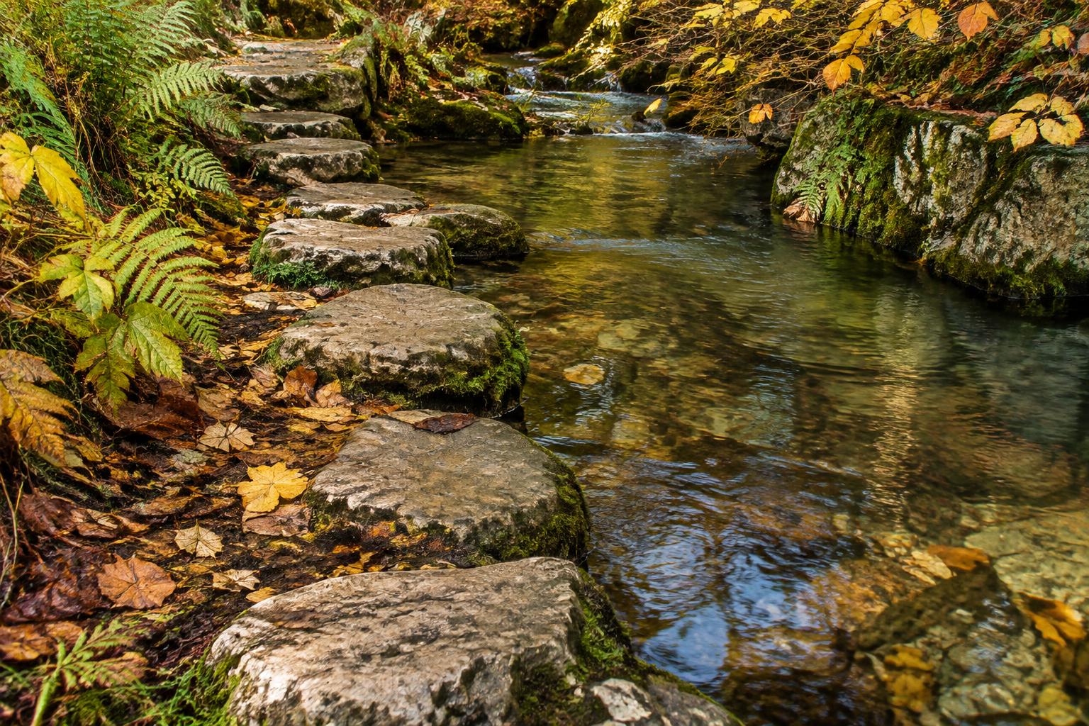 Chemin de pierres à hauteur humaine, au bord d'un ruisseau en forêt d'automne